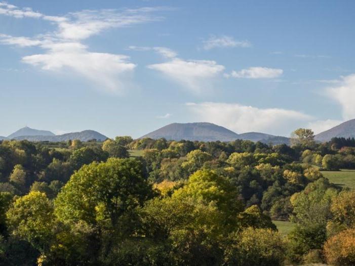 Reves De Bois Villa Loubeyrat Kültér fotó