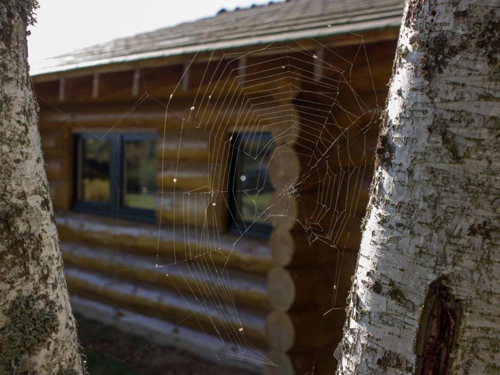 Reves De Bois Villa Loubeyrat Kültér fotó