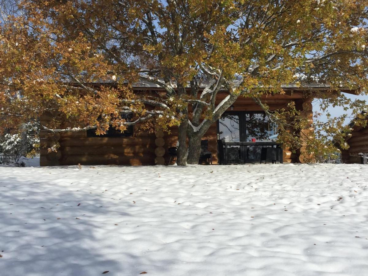 Reves De Bois Villa Loubeyrat Kültér fotó