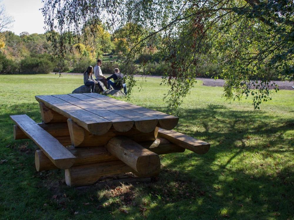 Reves De Bois Villa Loubeyrat Kültér fotó